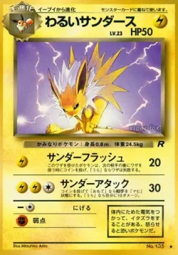 Dark Jolteon 「TEAM_ROCKET No. 029」「JP」